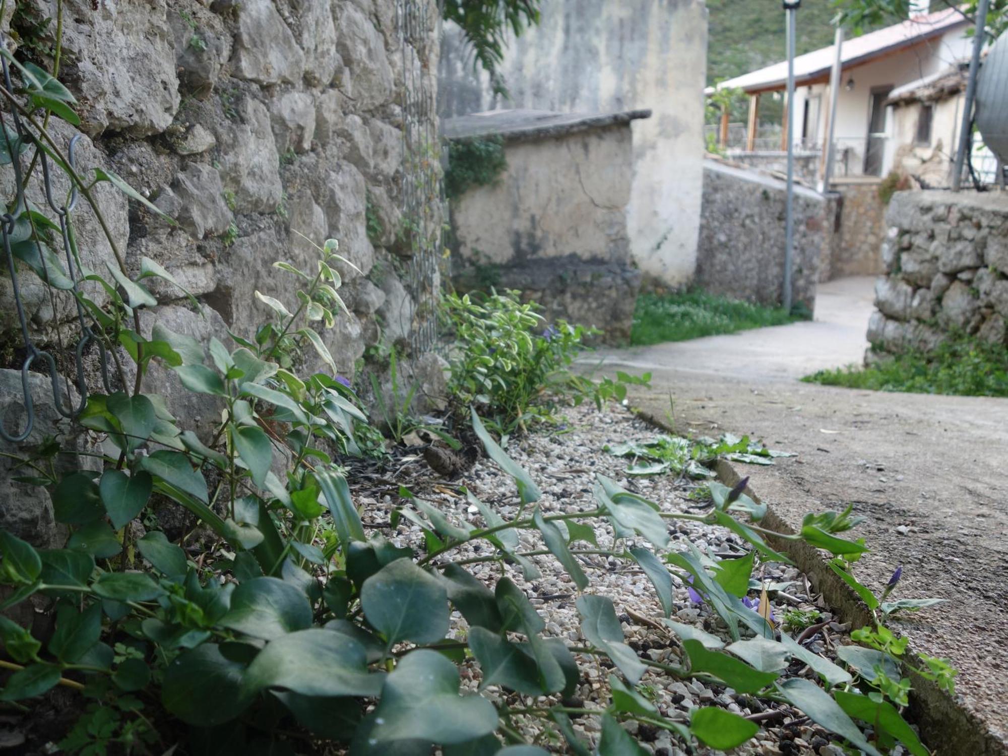 Guesthouse Near The Castle Of Himare Bagian luar foto